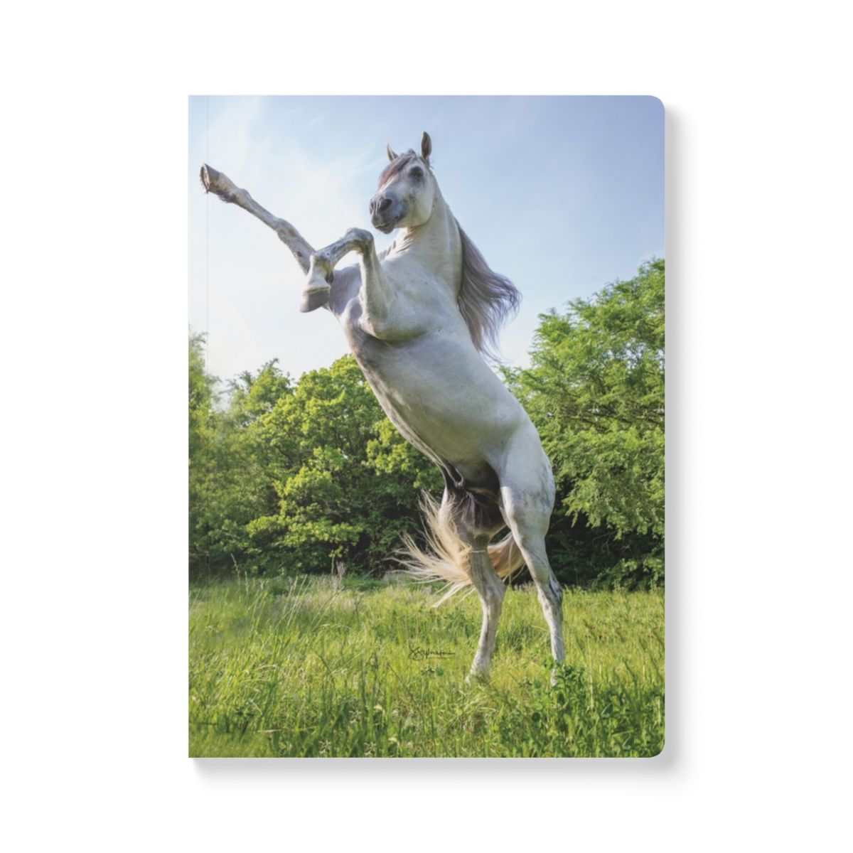 Rearing Horse - Soft Cover Journal | RearingJournalFront.jpg