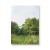 Rearing Horse - Soft Cover Journal | RearingJournalBack.jpg