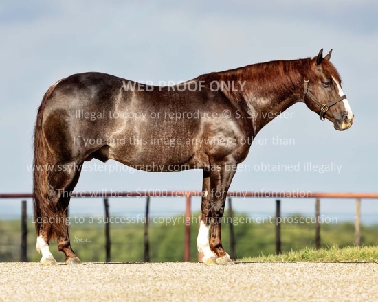 Westfall Ranch 2025.06.25