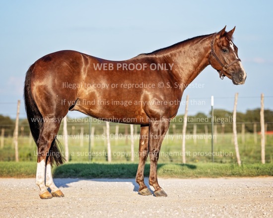 Marcelle LeBlanc/Codie Green