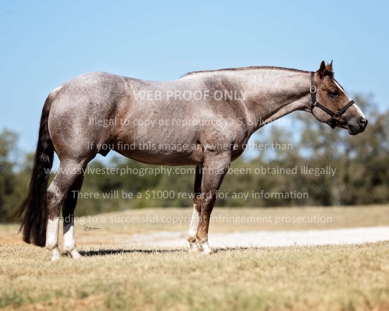 Lehrman, Crystal 2025.10.22