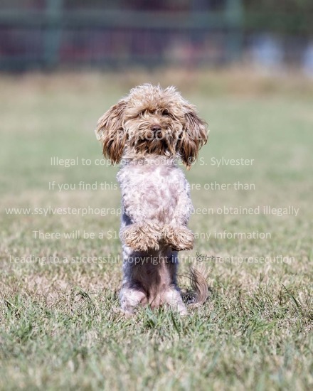 Adams, Deena and Dustin 2025.10.31