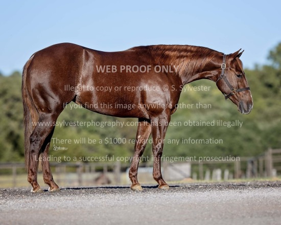 Crown Ranch 2025.10.30