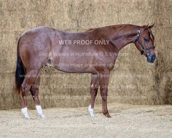 JC Sale Fitting 2025.11.04