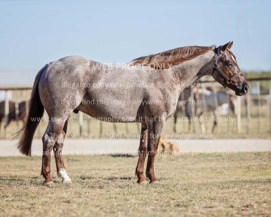 Ashlock, Lindy 2025.10.22