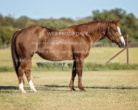 Weiss, Scott 2025.10.21