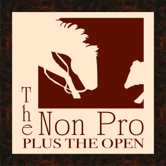 2026 Non Pro + the Open