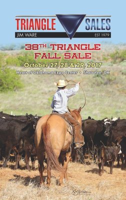 2017 Triangle Sale Catalog cover photo by S. Sylvester Photography
