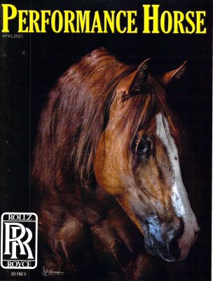 2021.04_Performance_Horse.jpg